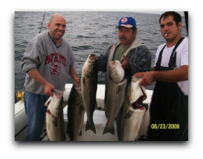 Striped Bass (Striper) Fishing Charters - Marshfield, Massachusetts