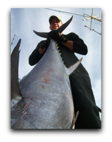 Giant Bluefin Fishing Charters - Cape Cod, Massachusetts